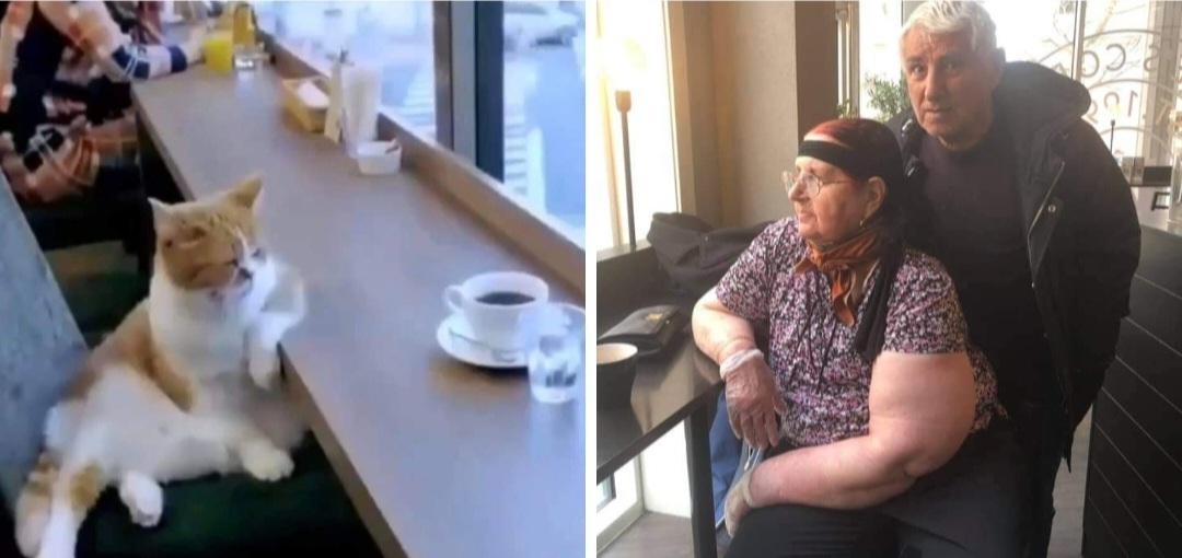 Här ser vi ett par som har poserat, varav kvinnan poserar som katten.